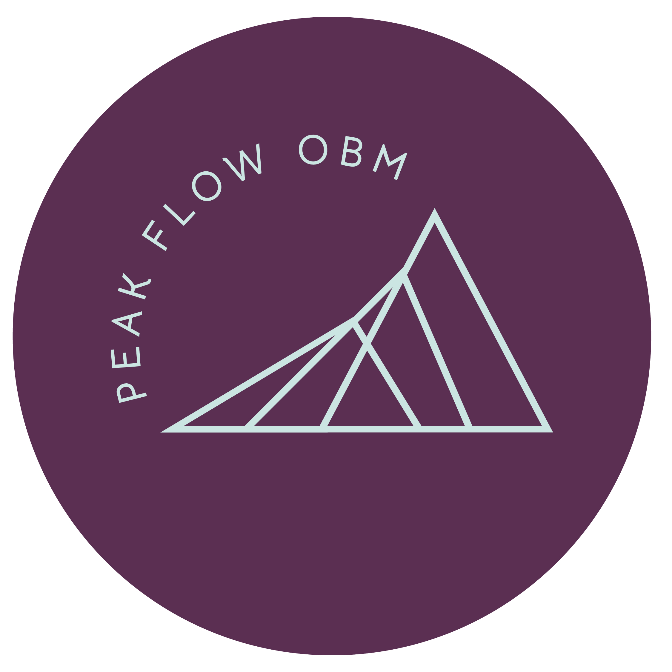 Peak Flow Online Business Management