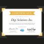 Baltimore, Maryland, United States 营销公司 Digi Solutions 获得了 Digital Excellence 奖项