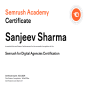 A agência Nettechnocrats IT Services Pvt. Ltd., de India, conquistou o prêmio SEMrush
