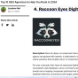 United States Raccoon Eyes Digital Marketing, Nogood ödülünü kazandı