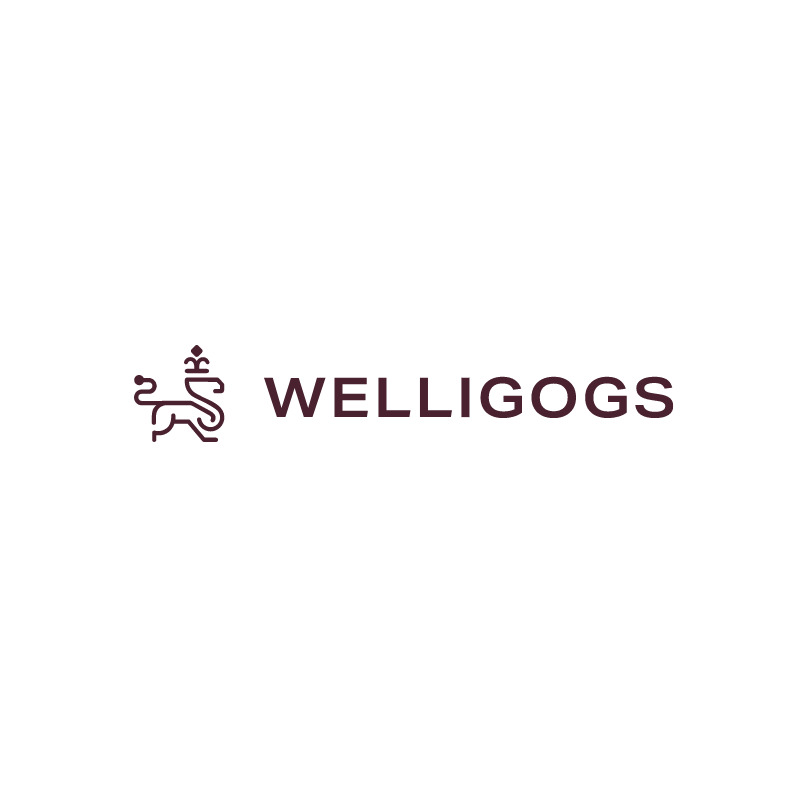 Die India Agentur Digiligo half Welligogs dabei, sein Geschäft mit SEO und digitalem Marketing zu vergrößern