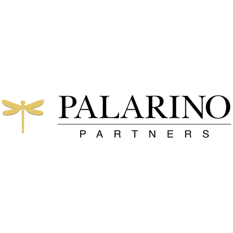 Punjab, India 营销公司 SEO Experts Company India 通过 SEO 和数字营销帮助了 Palarino Partners 发展业务