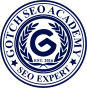 New York, New York, United States 营销公司 Asolace 获得了 Gotch SEO  Expert 奖项