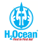 A agência The Brand Arsenal, de Michigan, United States, ajudou H2Ocean a expandir seus negócios usando SEO e marketing digital