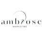 Naples, Florida, United StatesのエージェンシーSEO Elite Agencyは、SEOとデジタルマーケティングでAmbrose Marketingのビジネスを成長させました