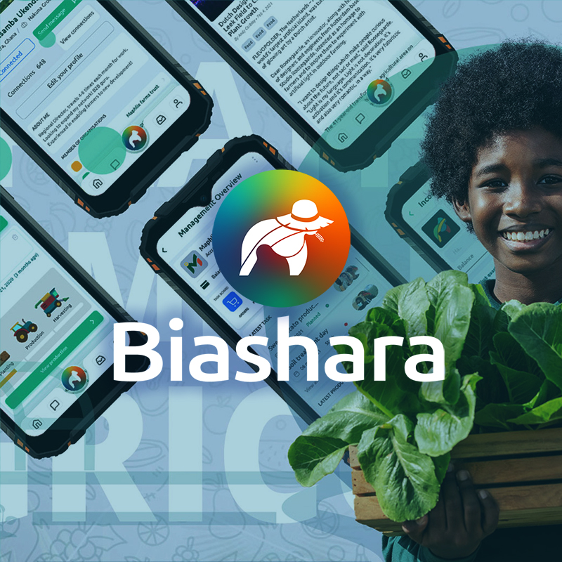 Die Netherlands Agentur Hakuna Group BV half Biashara dabei, sein Geschäft mit SEO und digitalem Marketing zu vergrößern