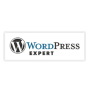 A agência Sweb Agency, de Italy, conquistou o prêmio WordPress Expert