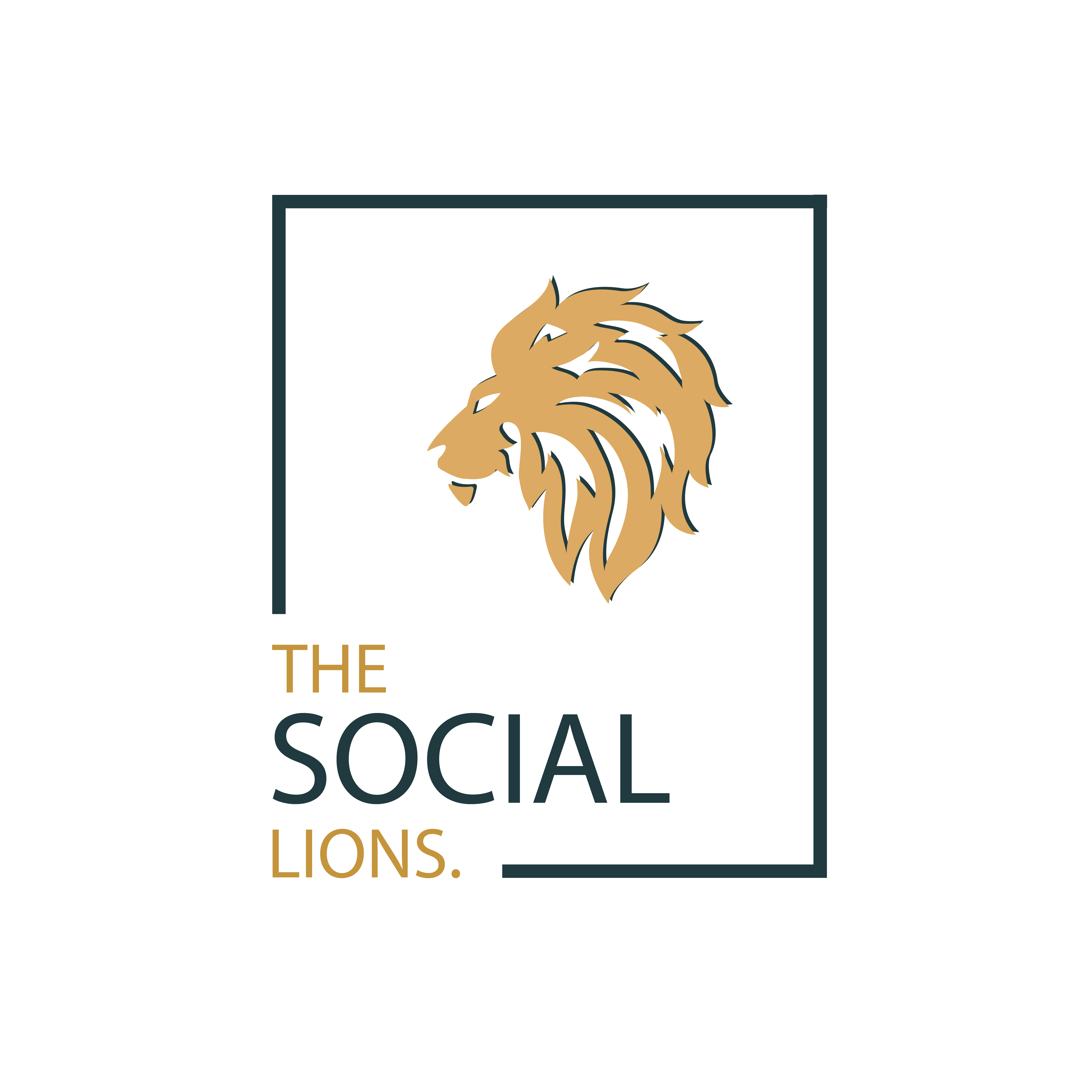 THE SOCIAL LIONS