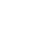 La agencia AEC DIGITAL AND CONSULTING de Italy ayudó a Ego rug a hacer crecer su empresa con SEO y marketing digital