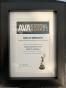 Port Moody, British Columbia, Canada Solid Mass Media giành được giải thưởng AVA Digital Awards - Gold Winner 2020