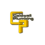 Canada Let's Get Optimized đã giúp Caldwell Plumbing phát triển doanh nghiệp của họ bằng SEO và marketing kỹ thuật số