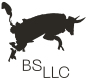 BS LLC • Branding, Strategy, Marketing