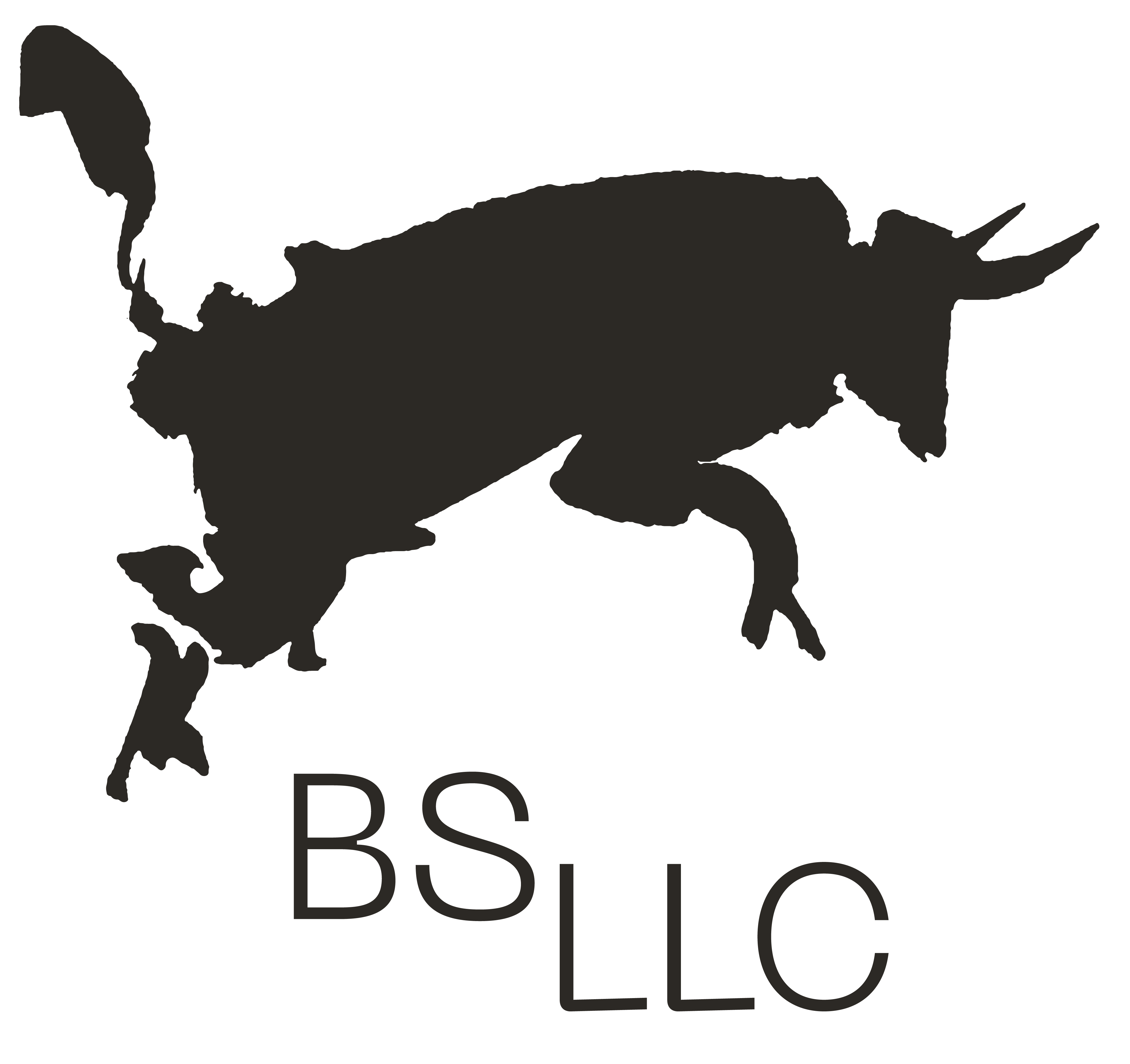 BS LLC • Branding, Strategy, Marketing