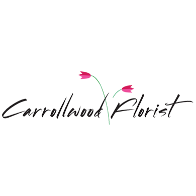 carrollwood-logo-square.png