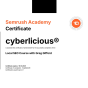 A agência cyberlicious®, de St. Petersburg, Florida, United States, conquistou o prêmio Semrush Local SEO Certified Agency