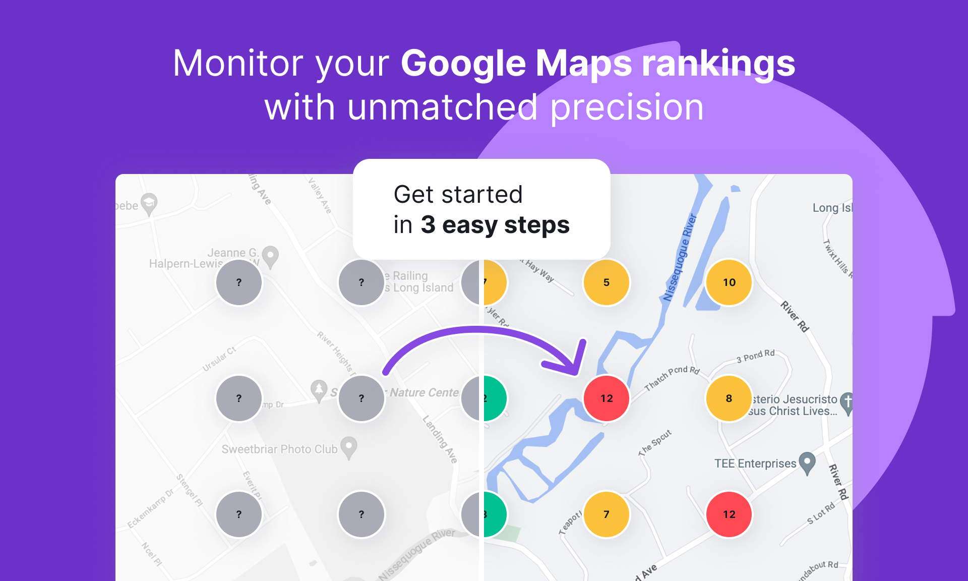 Google Map Ranking Service