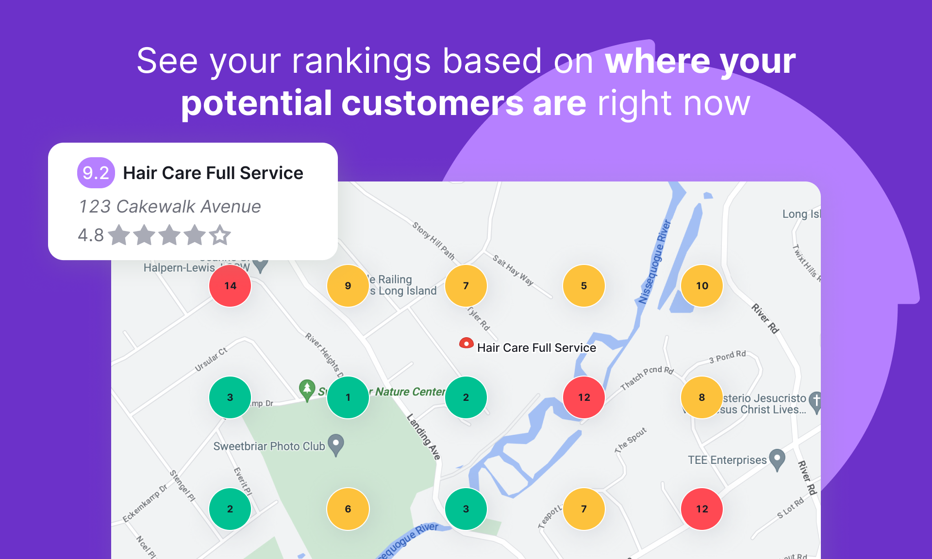 Google Map Ranking Service