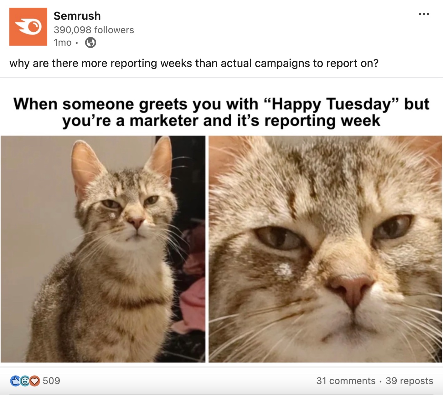 Semrush's post on LinkedIn, joking about marketers' reporting week