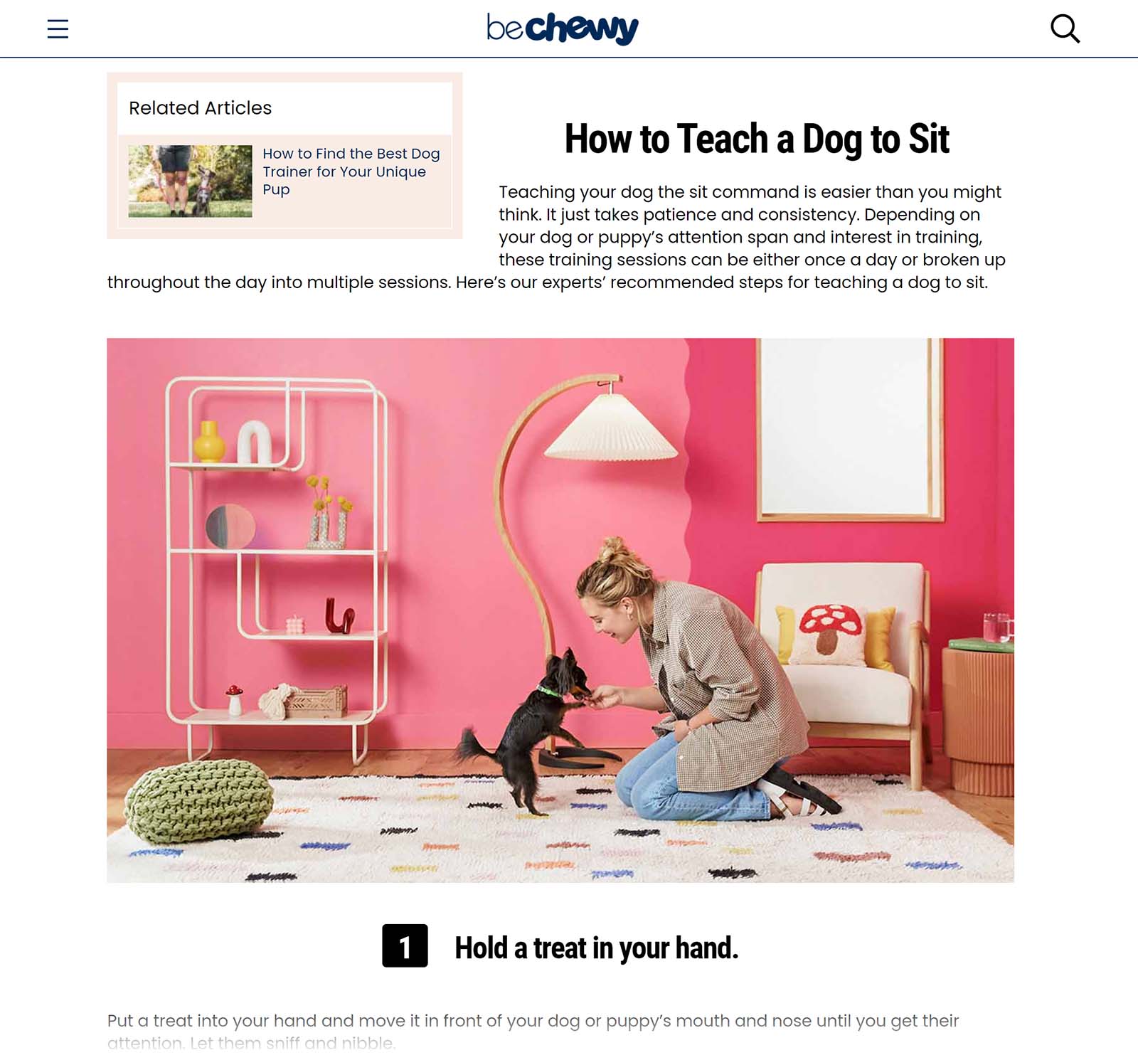 Chewy blog station  connected  'How to thatch  a canine  to sit'