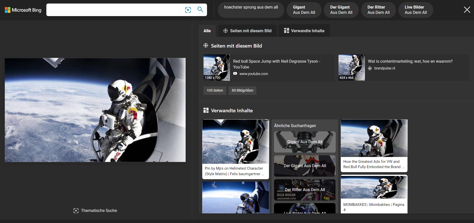 Screenshot: Ergebnisse einer Bilder-Rückwärtssuche in Bing