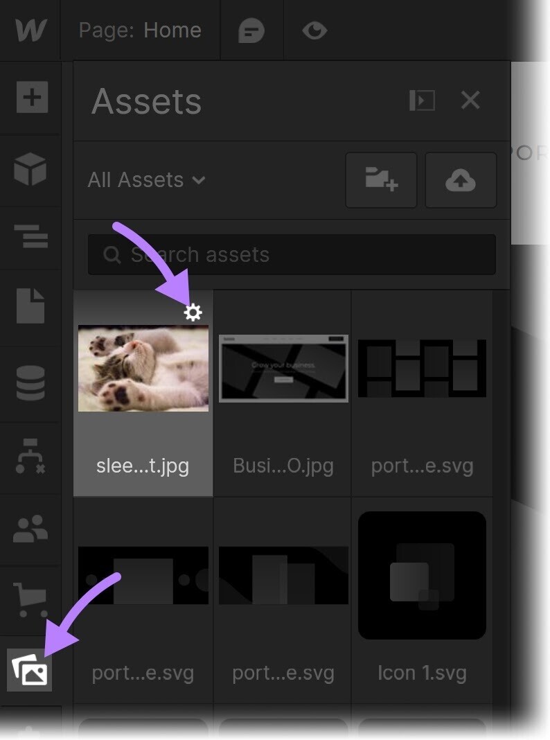 “Assets” icon and an image of a cat highlighted under "Assets"