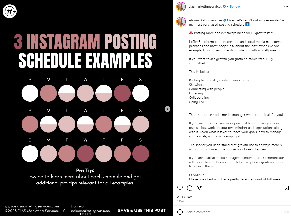 Publicación de Daniela Schrittenlocher en "3 Ejemplos de horarios de publicación en Instagram"