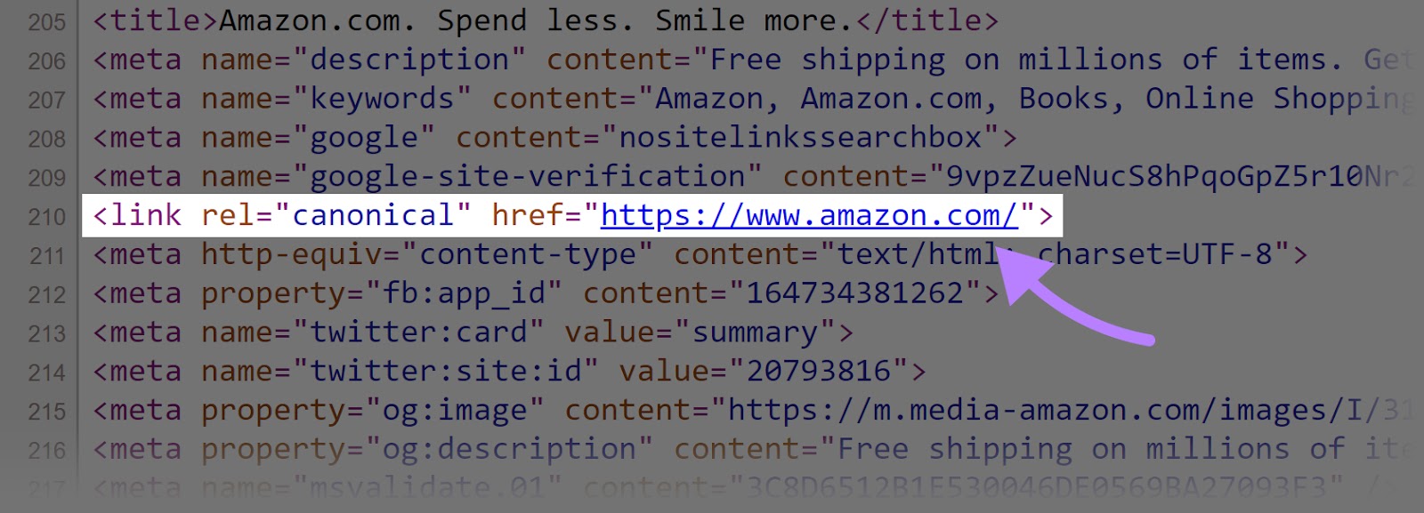 Canonical tag section of a website’s HTML code