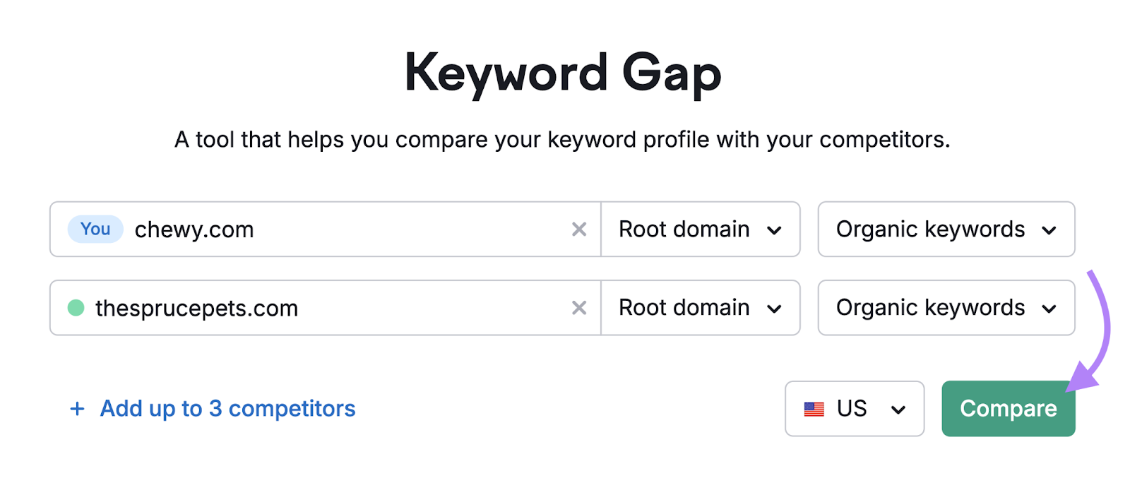 domain and competitor entered into tool