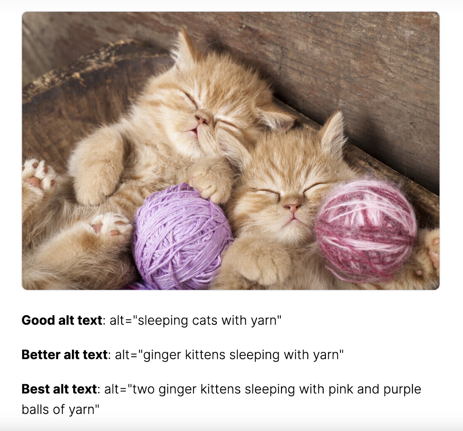 An image of the two ، kittens, with an explanation of what the best alt text would be