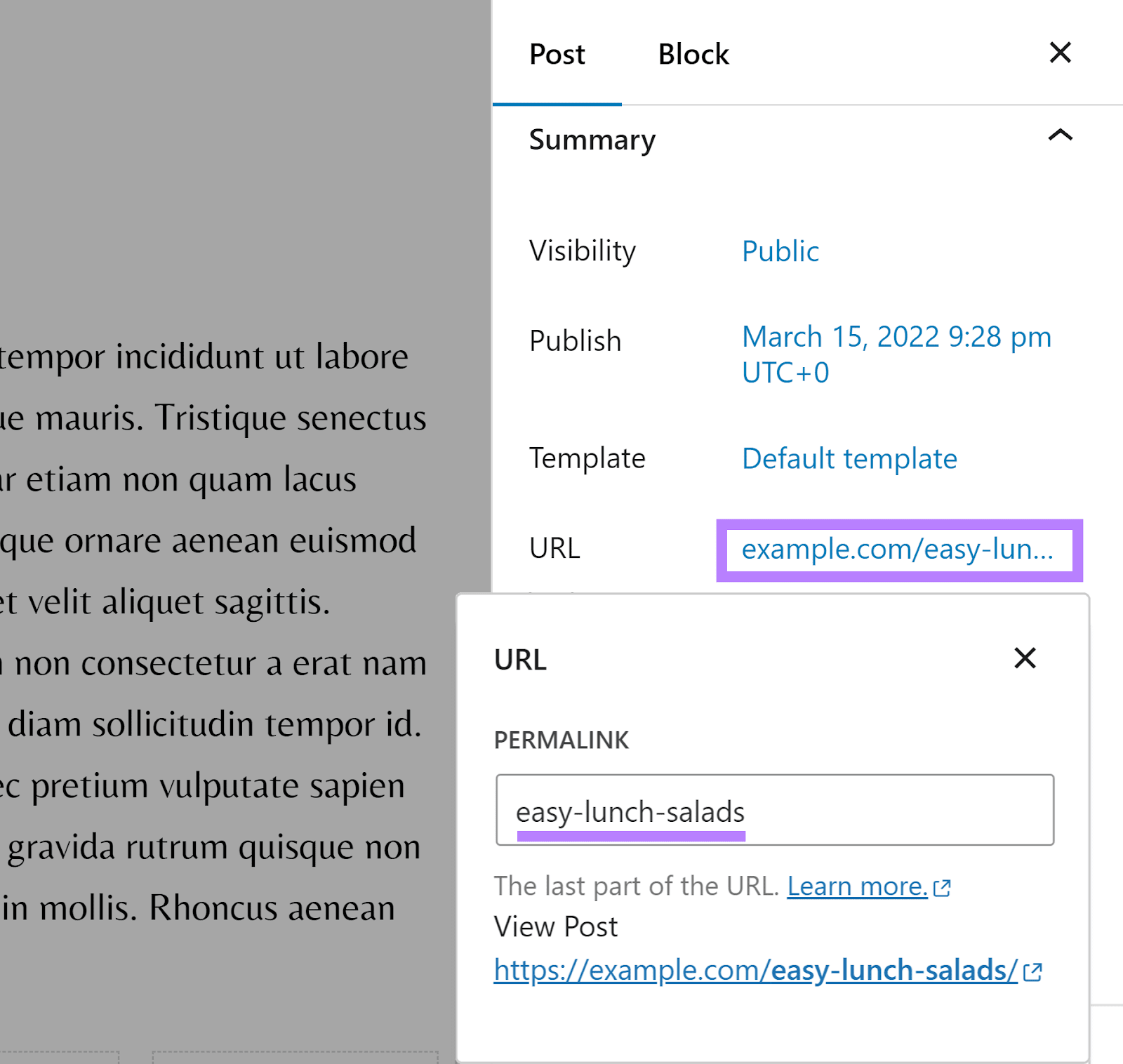 URL hyperlink in WordPress Post settings clicked and highlighted to reveal URL configuration popup with URL slug highlighted