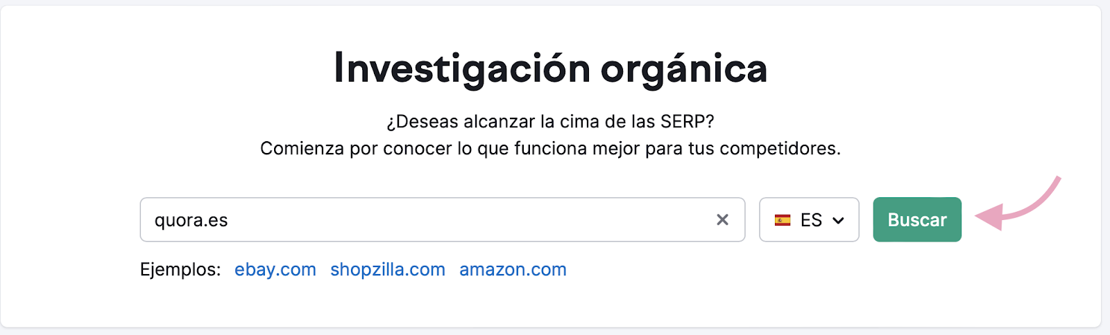 Introduce su dominio en la herramienta de Investigación Orgánica de Semrush y pulsa "Buscar"