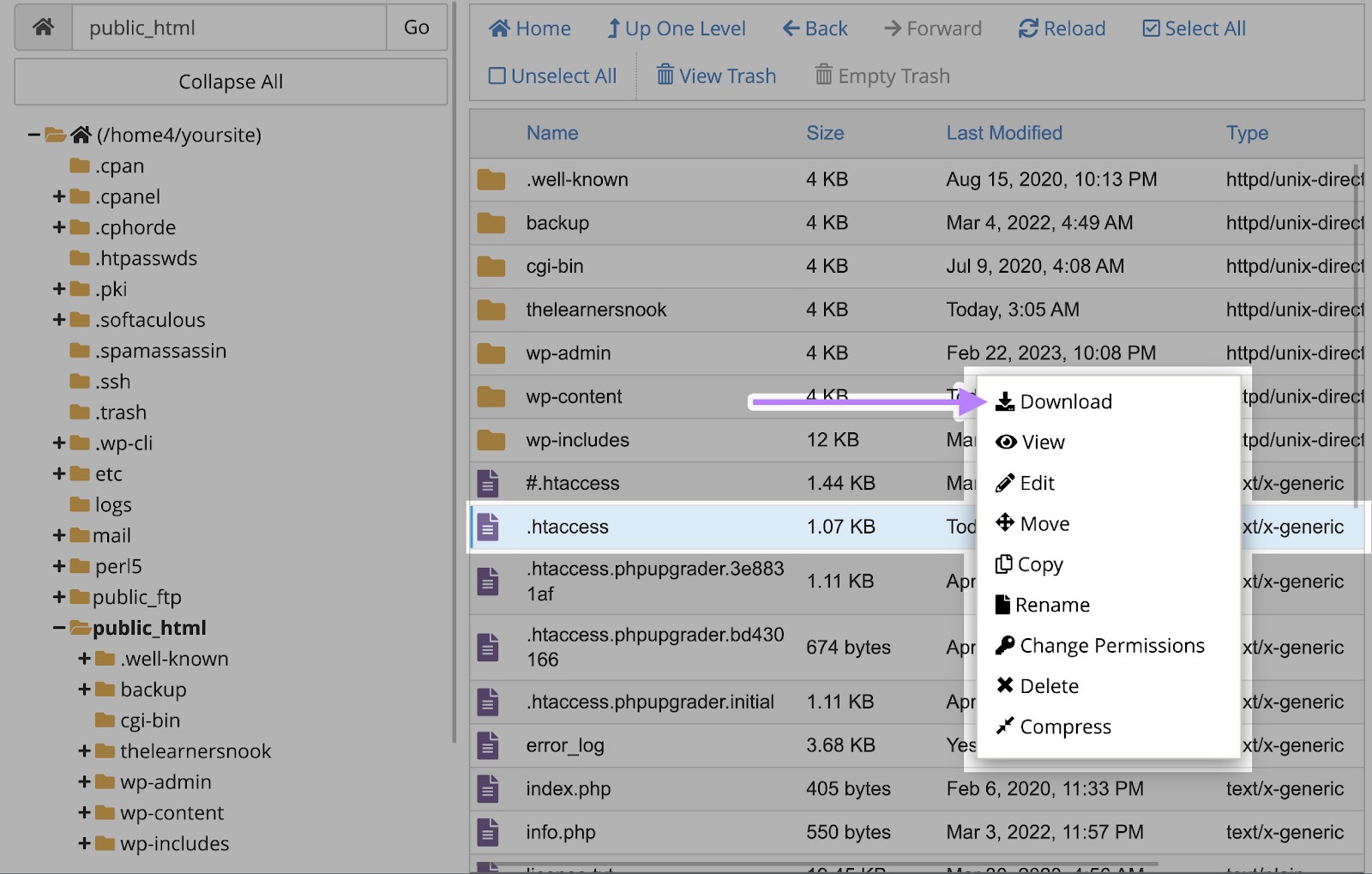 The ".htaccess" file on cPanel right-clicked and "Download" selected from the options that appear.