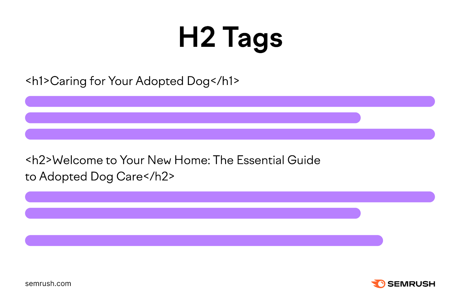 h2 header tag added beneath the h1 tag. the h2 tag says the essential guide to adopted dog care.