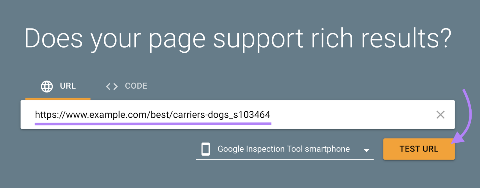 Optional missing fields for this merchandise rich | | snippet illustration spot readiness and worth valid until date.