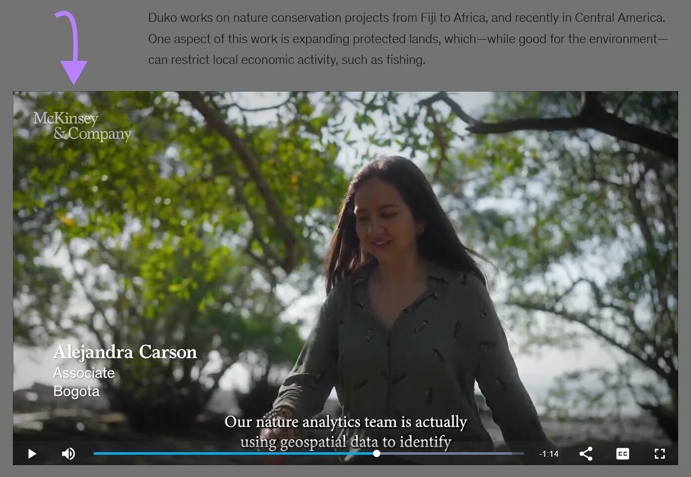 example of video on protecting ecosystems by McKinsey & Company