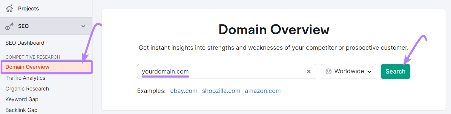 Domain Overview search bar