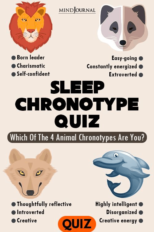 MindJournal's "Sleep chronotype quiz" infographic