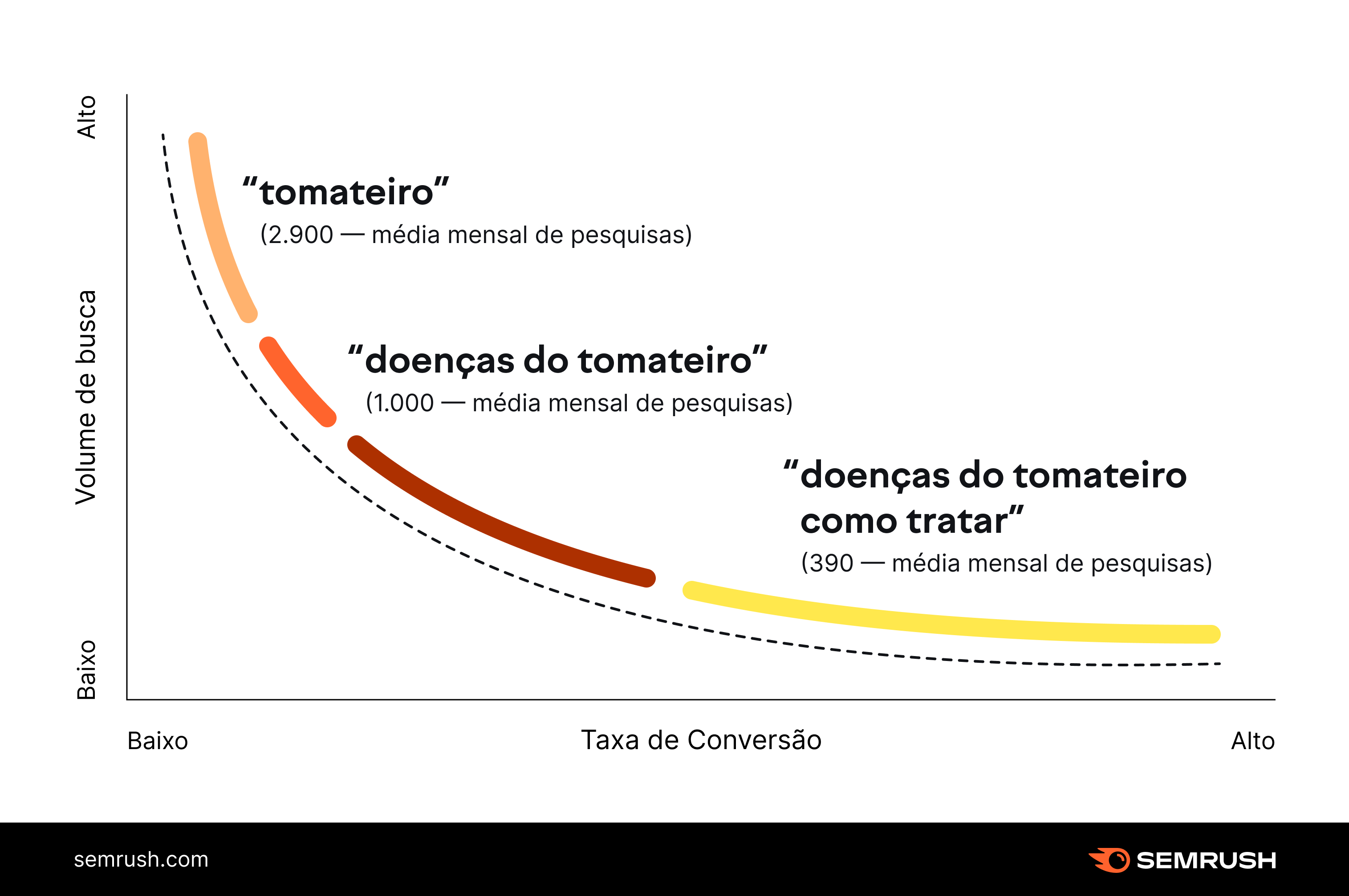 saiba tudo sobre básico de SEO 11 palavras-chave de cauda longa - infográfico
