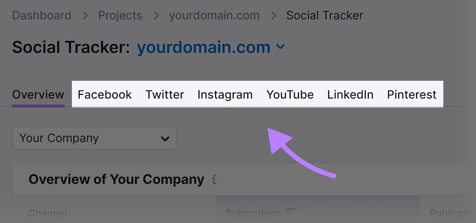 "Facebook, Twitter, Instagram, YouTube, LinkedIn and Pinterest" tabs highlighted in Social Tracker