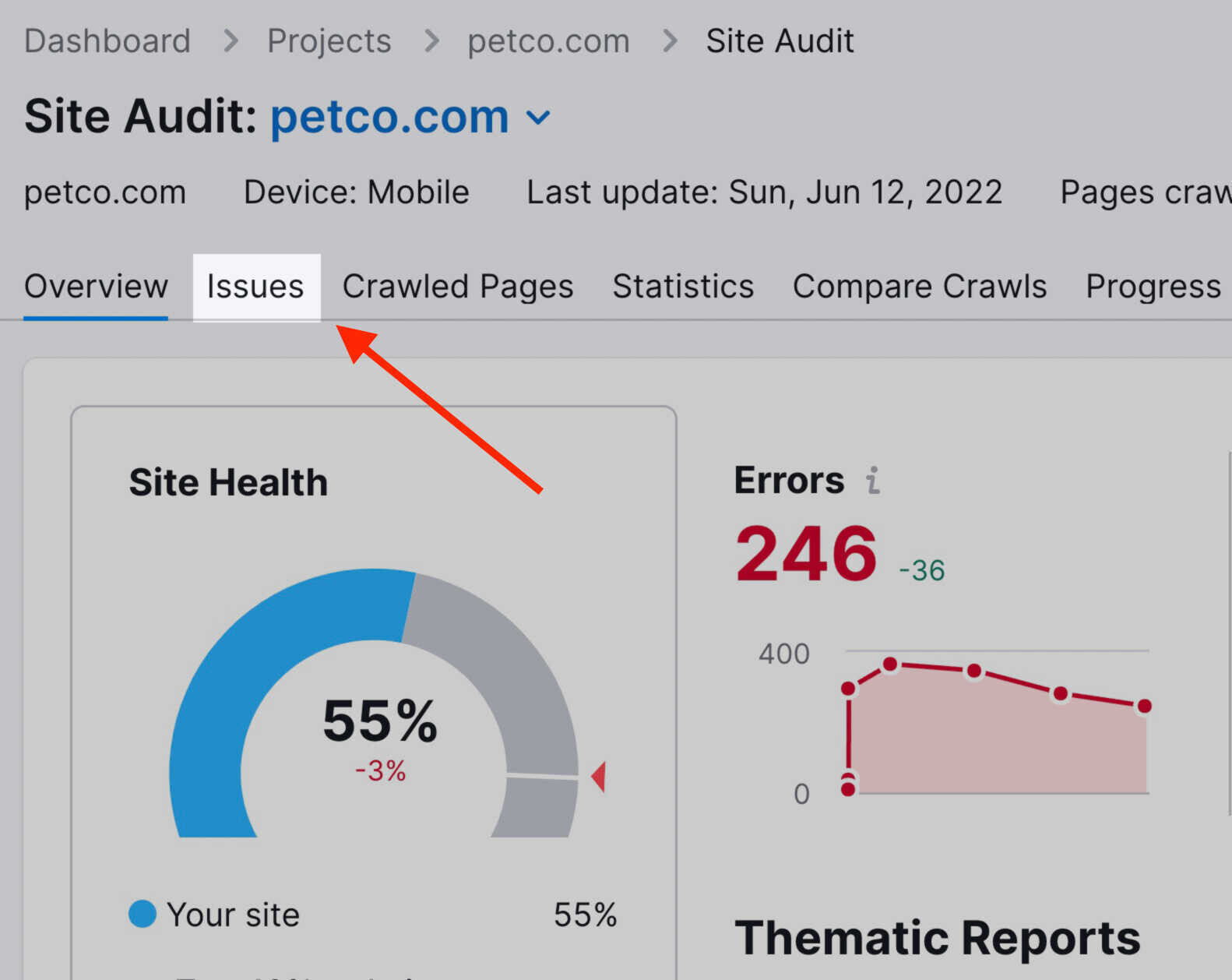 Site Audit Issues tab