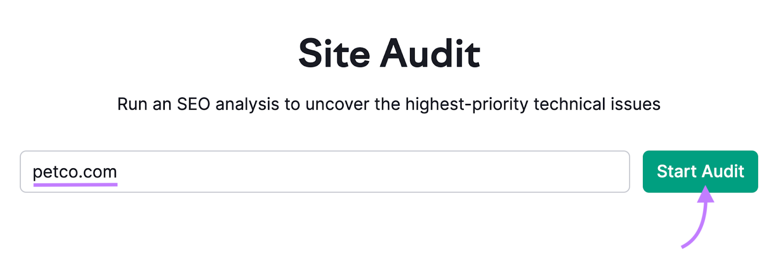 "petco.com" entered into the Site Audit tool