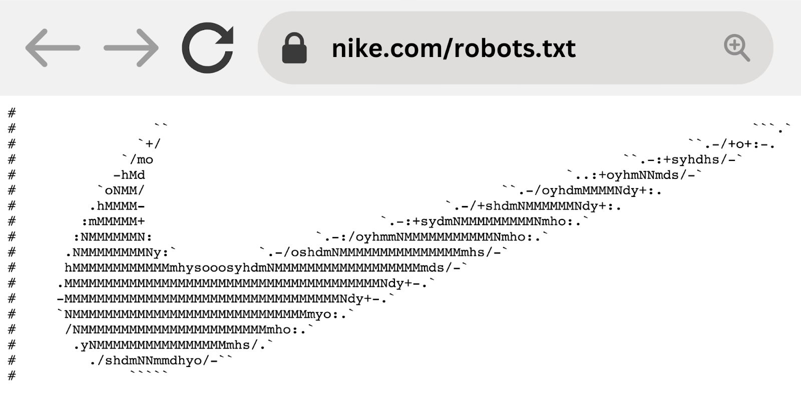 Nike’s robots.txt example