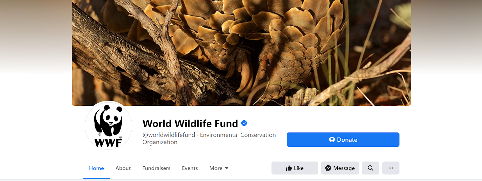 World Wildlife Fund Facebook page screenshot