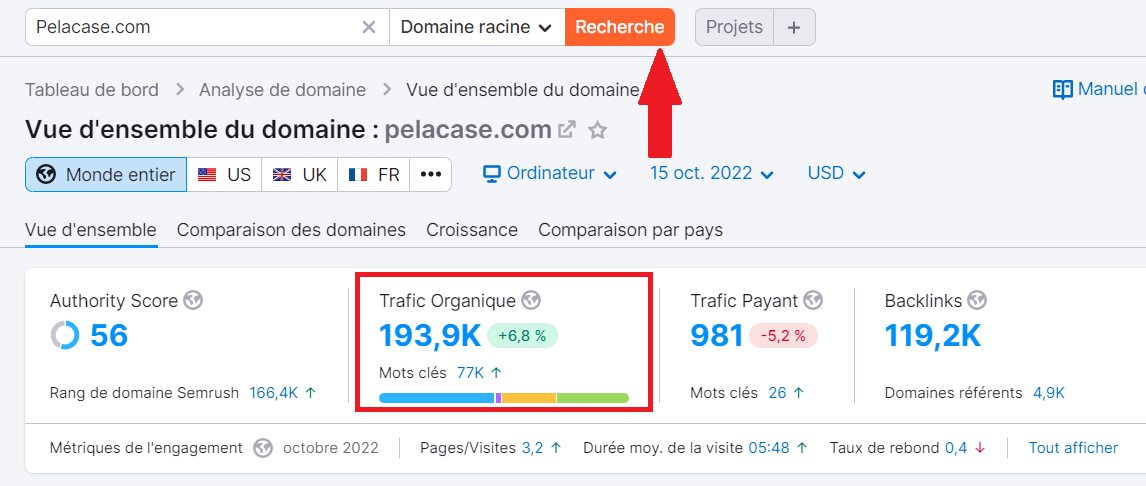 Vue d'ensemble de domaine, trafic organique