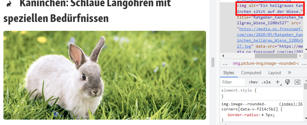 Screenshot: Beispiel für Alt-Text