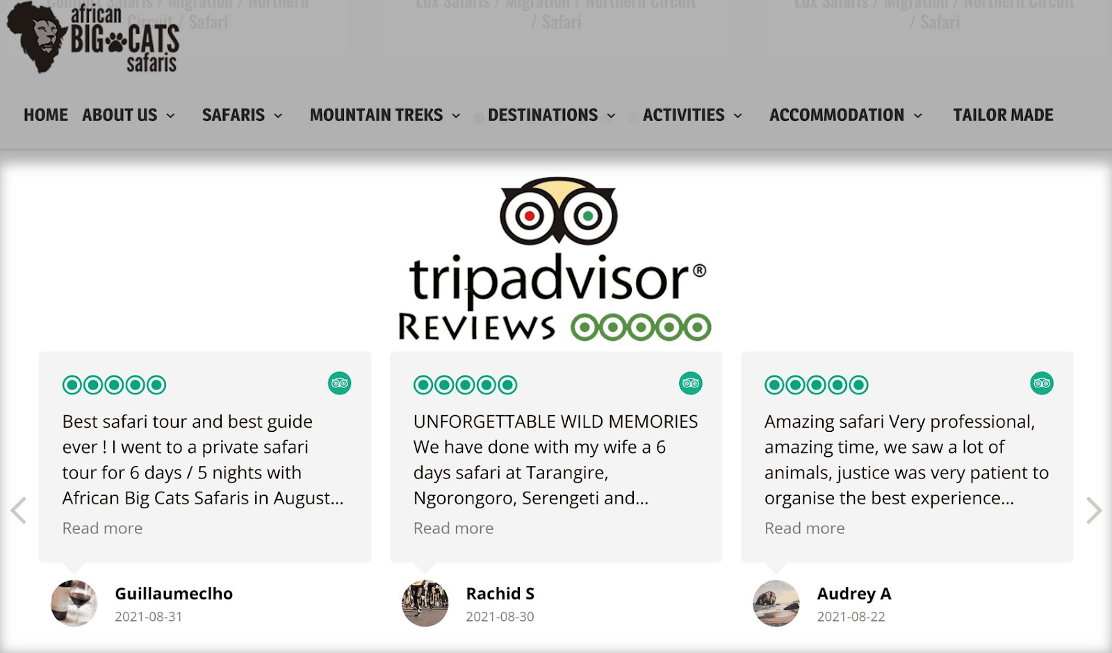 Widget de Tripadvisor en la web de "African Big Cats Safaris