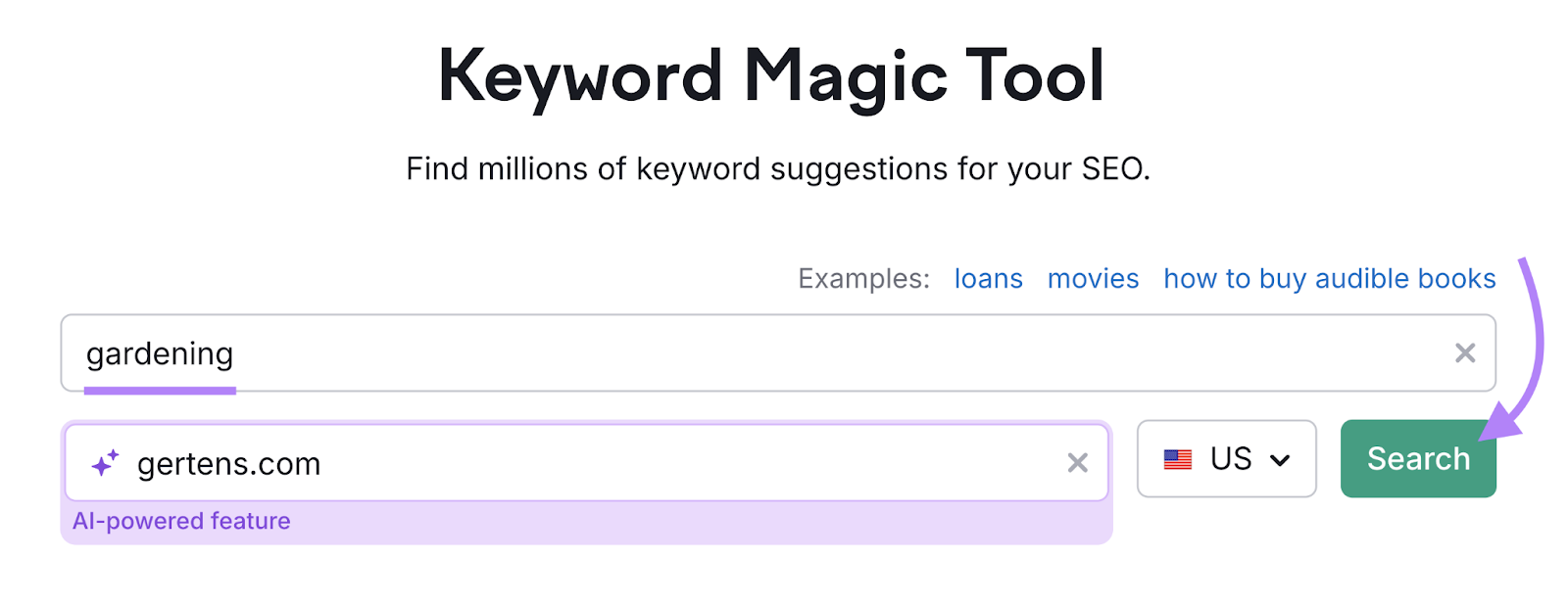 keyword and domain entered into tool