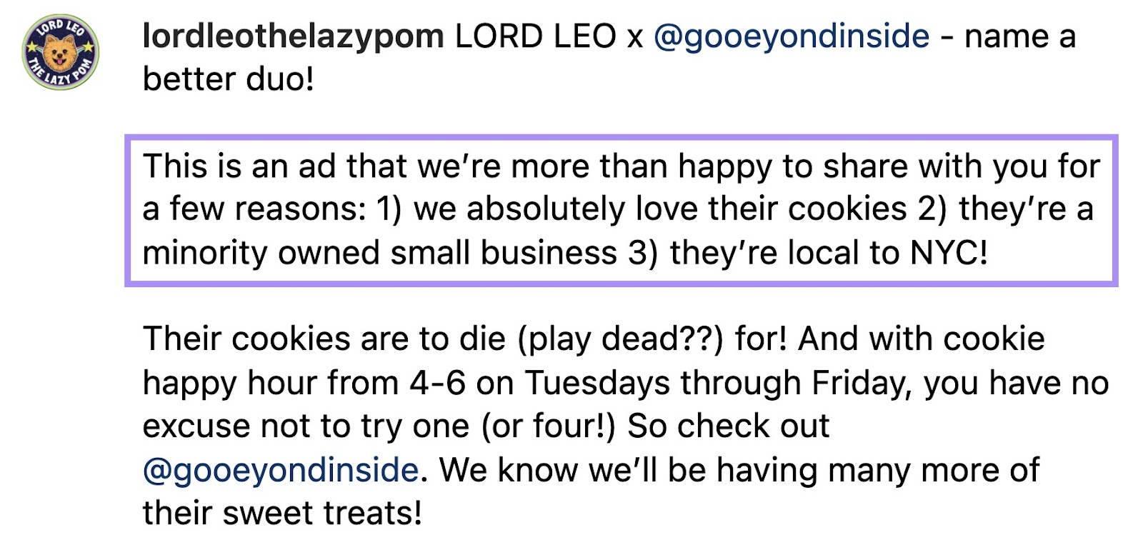 Nick Sheingold explains why they're happy to run an ad for Lord Leo the Lazy Pom