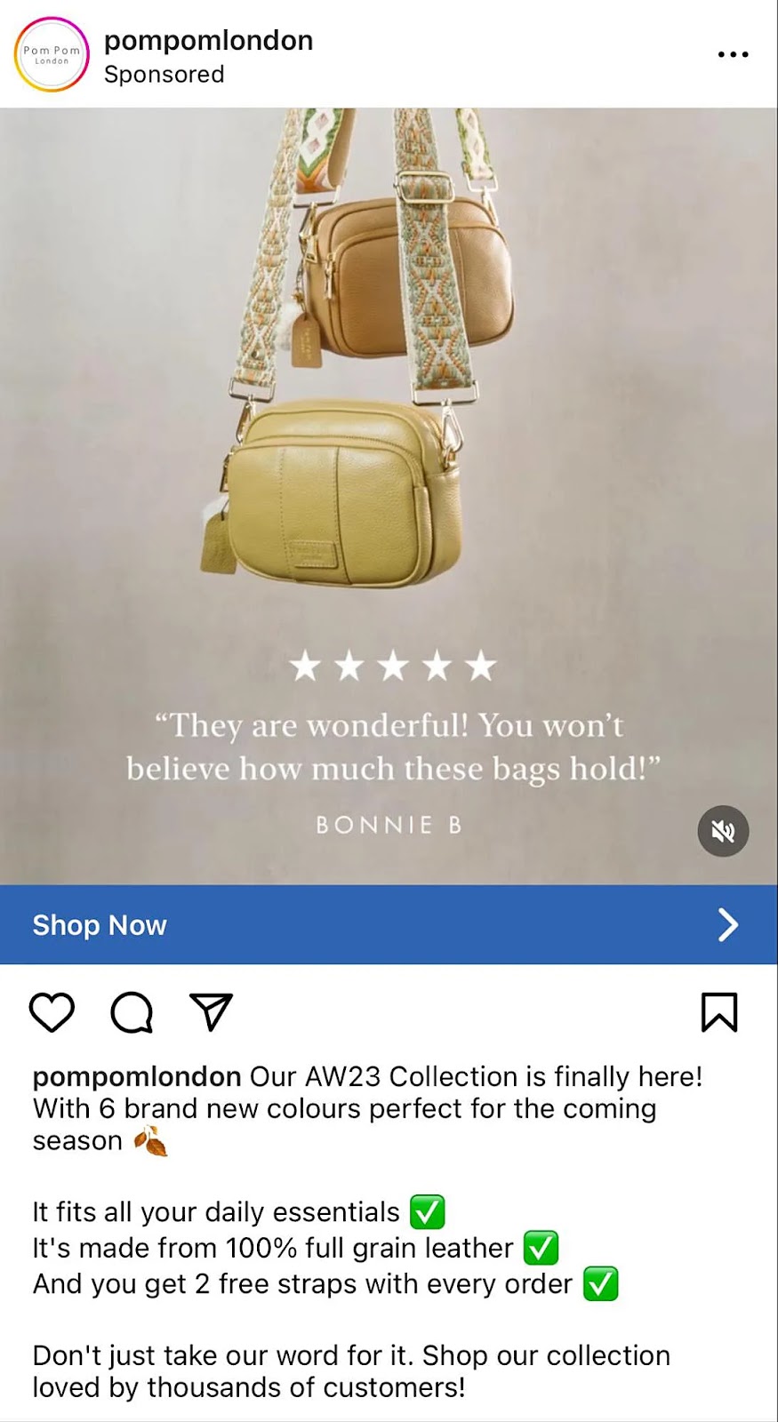 Pom Pom London's Instagram ad with "They are wonderful! You won't believe how much these bags hold!" copy