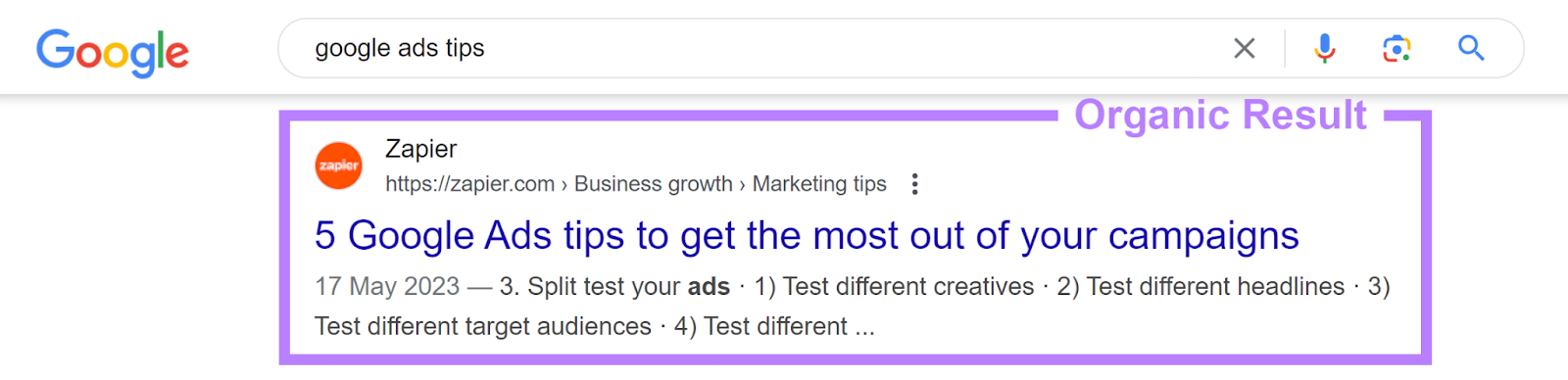 Organic Result annotated for 'google ads tips' search result